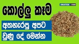 කොල්ලු කෑම අතහැරපු අපට වුණ දේ මෙන්න : Horse gram benefits