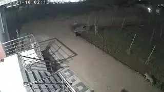 Night Visitor at Farmhouse 🦊 Indian Fox Spotted Near Junnar