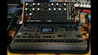 DFAM STALKER TECHNO JAM!