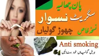نسوار سگریٹ  گٹکہ پان چھوڑ گولیاں اور ہربل علاج   How to Quit drugs and treatment