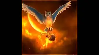 Legend Of The Guardians: The Owls of Ga'hoole | Soren edit |#shorts #fyp #foryou #owls #fypシ