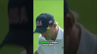 Mastering Golf: Perfect Shots and Spectators' Reactions