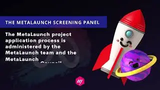 MetaLaunch&rsquo;s Project&rsquo;s Due Diligence process
