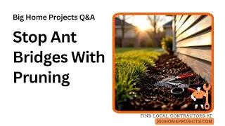Ant Bridge Prevention Pruning Mulch Gap Granule Patrol