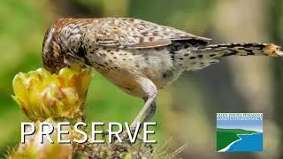 Palos Verdes Peninsula Land Conservancy Mission Video
