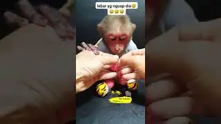 #keluargasnack #BerkahdiSnack