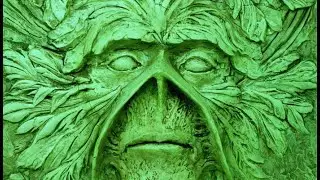panellogy 306 - swamp thing by alan moore - absolute vol. 1