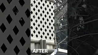 Backyard Privacy Solutions: Stunning Before & After #diy #gardenfence #home #backyard #diyfence