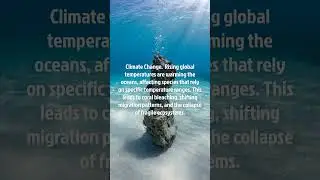 10 Threats to Ocean Life #facts #factsair #about #interesting