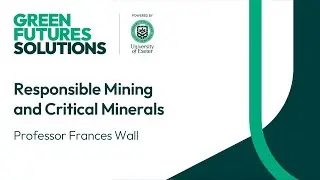 Responsible Mining and Critical Minerals | Professor Frances Wall