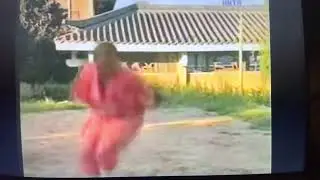 Shaolin Mei Hua Quan / Shi De Cheng