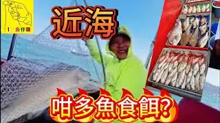 港水近海都咁多魚食餌？#香港釣魚 