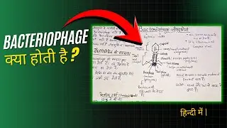 Bacteriophage (जीवाणुभोजी) kya hota hai? | Biology in Hindi