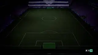 FIFA 21 Silver Team Friendly