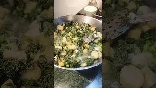 #funny #eveningchai #food #indorepoha #hindisong #comedy #howtomakecookingoilathome #indiansong