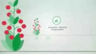 Controlled Release Fertilizers - Single Application, Multiple Benefits