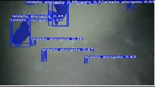 Segmentation of ocean ground elements using Mask-RCNN