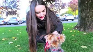 NE-AM LUAT CĂȚEL? VLOG!