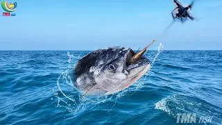 Experience FISHING with DRONES
