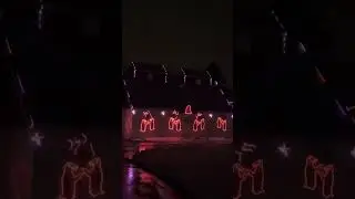 Wild lights at the zoo #canada  #moncton #zoo #lightshow #christmas #outdoors #barn #lights #music
