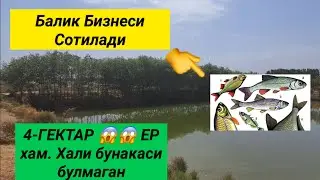 Балик Бизнеси ва 4 ГЕКТАР😱😱 ЕР хам СОТИЛАДИ, Узун тумани