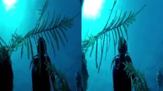 Grand Cayman 2015 - 3D