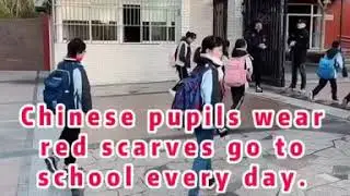 Red scarves  h&oacute;ng lǐng jīn 红领巾