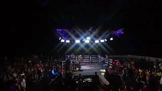 Professional boxer Tramaine Williams collapses mid-fight after apparent seizure