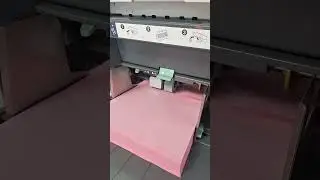 Print Your Panchayat Election Poster on Time with RISO Printers