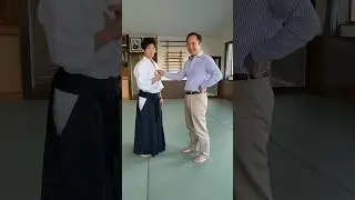 Director manipulated by Aikido
