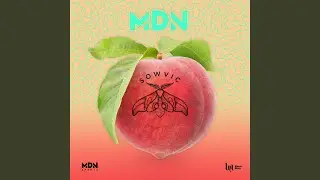 MDN
