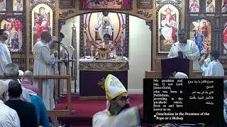 St Luke ACOC Live Stream