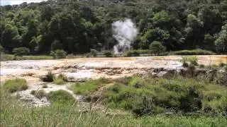 Waimangu Geothermal Ecosystem, New Zealand