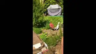 Our Hamptons patio reno