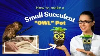 DIY Small Ceramic Succulent Planter/Pot “OWL” EAZY project for beginners