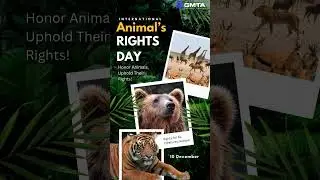𝐈𝐧𝐭𝐞𝐫𝐧𝐚𝐭𝐢𝐨𝐧𝐚𝐥 𝐀𝐧𝐢𝐦𝐚𝐥 𝐑𝐢𝐠𝐡𝐭𝐬 𝐃𝐚𝐲🐾🌍