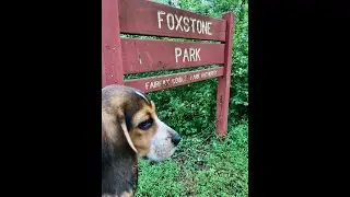 SNIFFANY explores a SPY BRIDGE! | Robert Hanssen - ESPIONAGE