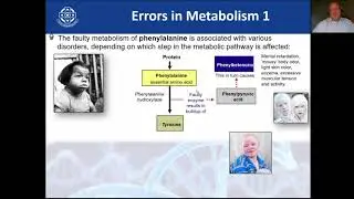 Metabolic Pathways