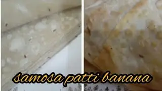 How to make samosa patti ,fold and freeze by unique activities by me.😋😍