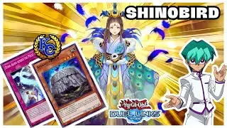 F2P DECK 