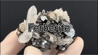 Ferberite, arsenopyrite, quartz from Yaogangxian mine, Chenzhou, HuNan, China.