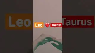 Leo&rsquo;s best friend as zodiac