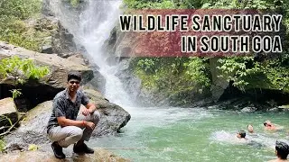 Biggest wildlife sanctuary in south Goa | South Goa Vlog | Part - 3 (4K)