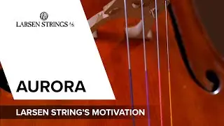 Learn more about Larsen Strings Aurora #2: Larsen Strings' motivation