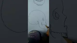 Draw a skull with me # drawit