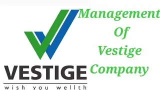 Vestige company management