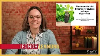 Plant essential oils: Potential for soybean pathogen suppression