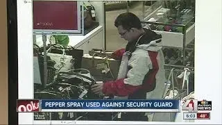 Suspects use pepper spray against security guard