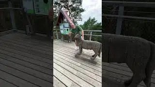 3 versteckte Geheimtipps in Hamburg, die du nicht verpassen darfst!🤯