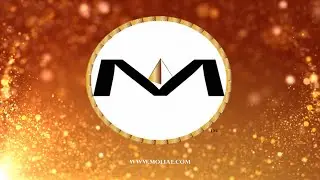 MOLIAE Affiliate Program  - How to set up your account and get started